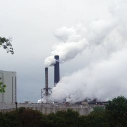 Locus Air Pollution
