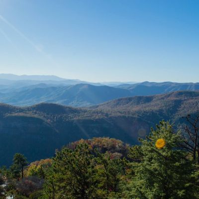 Asheville Locus