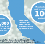 Locus Microbeads