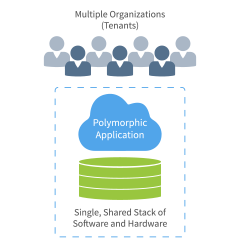 Locus Multitenancy